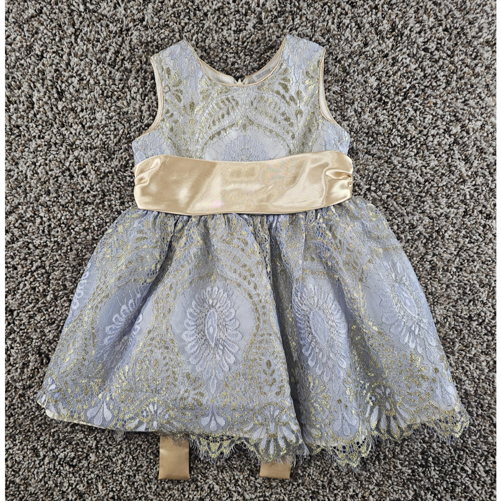 Jayne Copeland Toddler Girls 3T Little Border Lace with Satin-Dress Gold Purple
